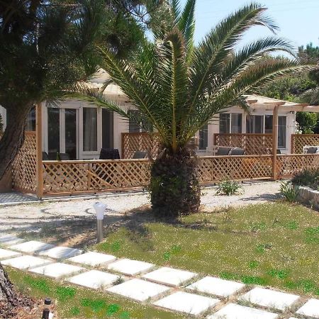 Elli Beach Apartments And Studios Almiros strand Buitenkant foto