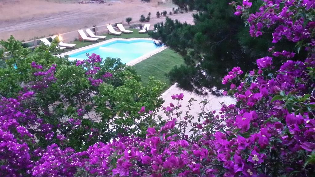 Elli Beach Apartments And Studios Almiros strand Kamer foto